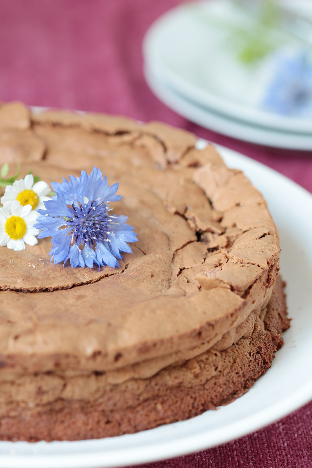 lieblingsschokokuchen2